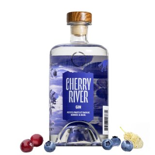 Gin Petits Fruits et Basilic